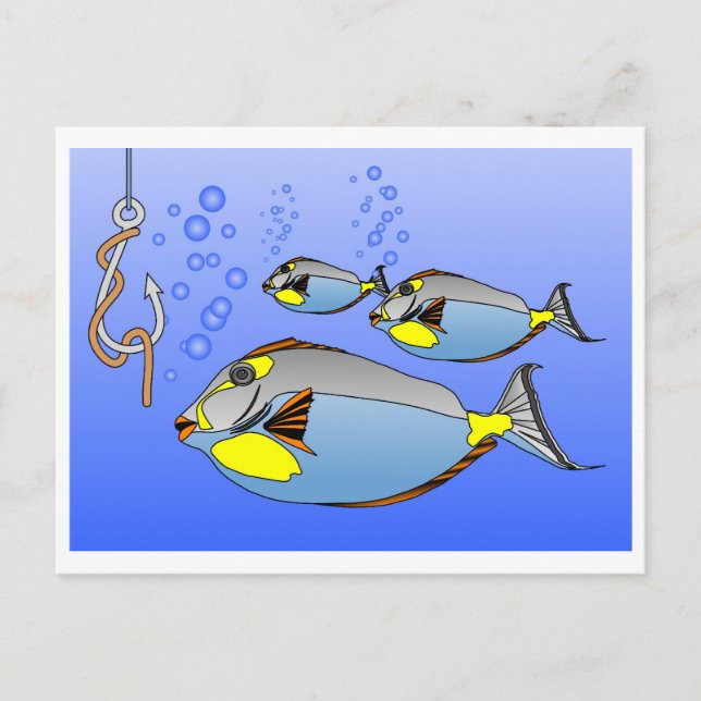 Three fish and a fish hook postcard (Front)