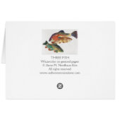 Three Fish Cards (Back Horizontal)