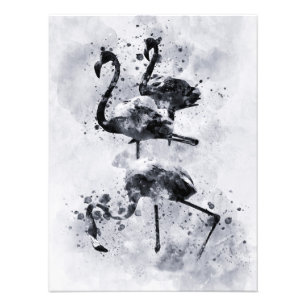 Three Flamingos Black and White Watercolor Photo Print
