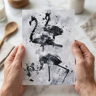 Three Flamingos Black and White Watercolor Postcard