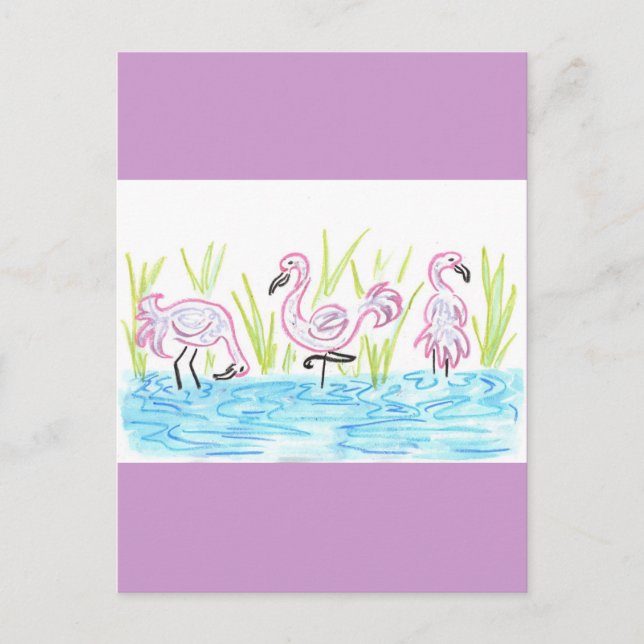 Three Flamingos Postcard (Front)