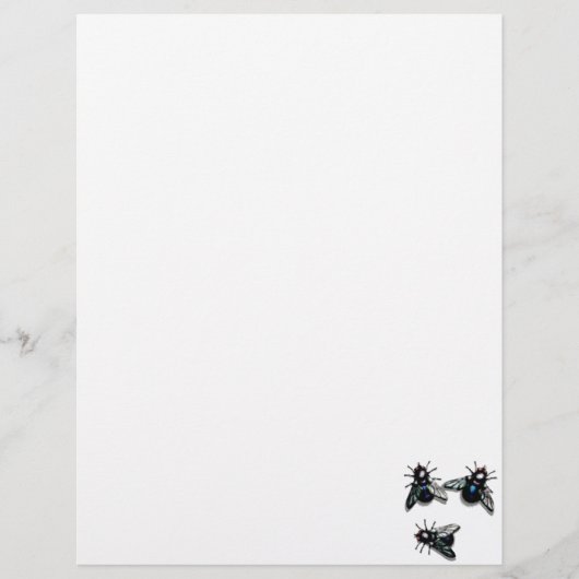 Three flies plain letterhead (Front)