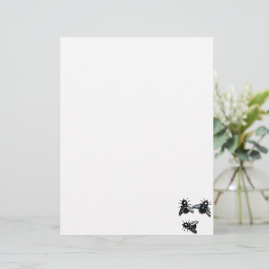 Three flies plain letterhead (Standing Front)