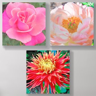 THREE FLORAL ACRYLIC ART PRINTS