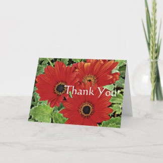 Three flowers as they bloom in red, Thank you Card