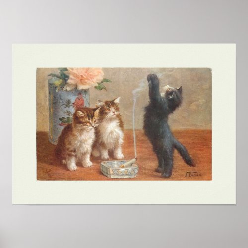 Three Fluffy Kittens Poster