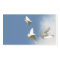 Three flying doves