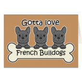 Three French Bulldogs (Front Horizontal)