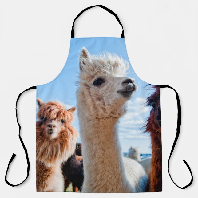 Three Funny Alpacas Apron (Front)
