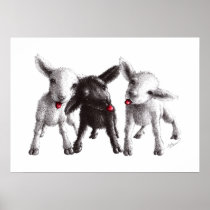 Three Funny Cheeky Sheep Poster