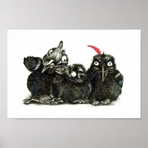 Three Funny Ravens _ One red Feather Poster