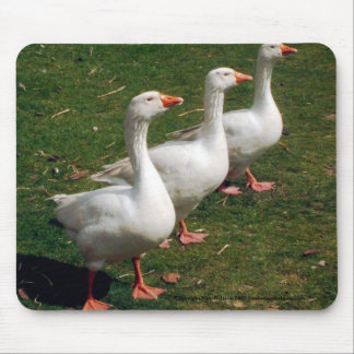 Three Geese a Strutting - Mousemat. Customise. Mouse Pad