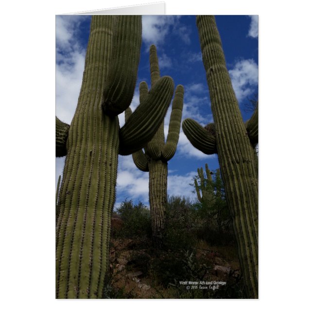 Three Giant Saguaro cacti with blue sky and clouds Cards (Front)