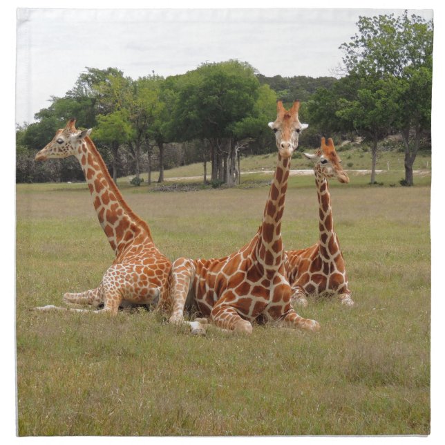Three Giraffe at Fossil Rim Cloth Napkin (Front)