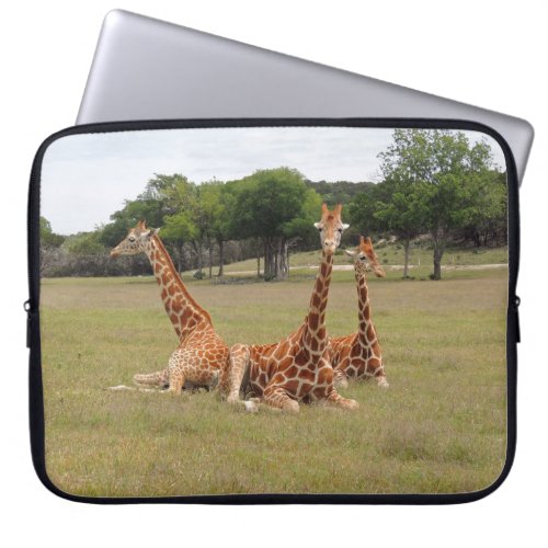 Three Giraffe at Fossil Rim _ Ill Watch Your Back Laptop Sleeve