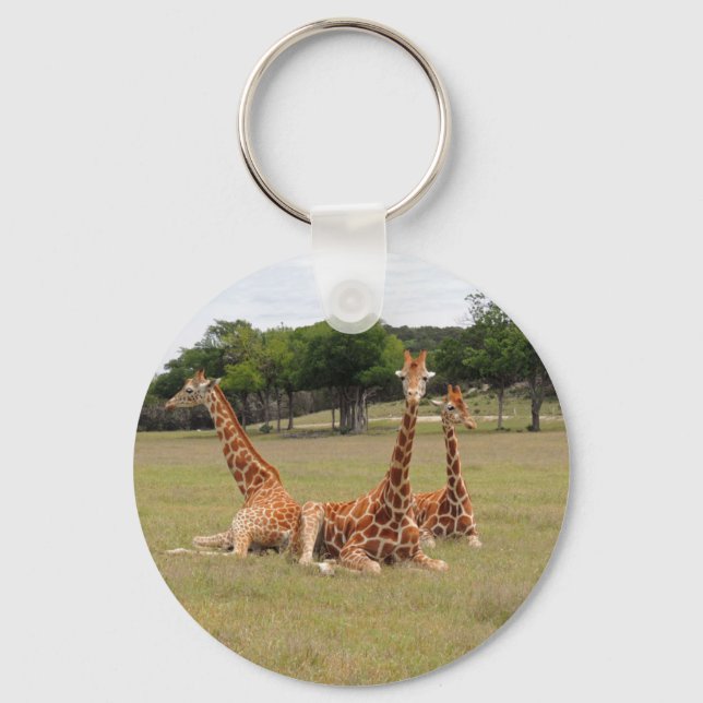 Three Giraffe at Fossil Rim Keychain (Front)