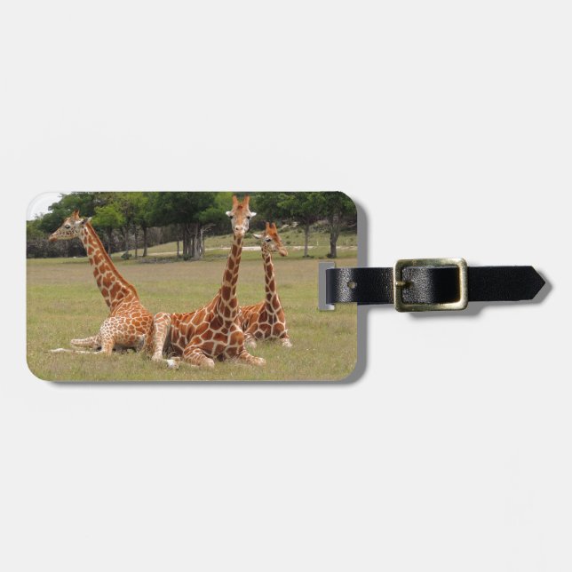 Three Giraffe at Fossil Rim Luggage Tag (Front Horizontal)