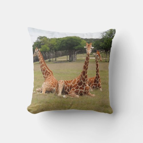 Three Giraffe at Fossil Rim Throw Pillow
