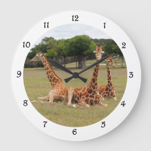 Three Giraffe at Fossil Rim Wall Clack Large Clock