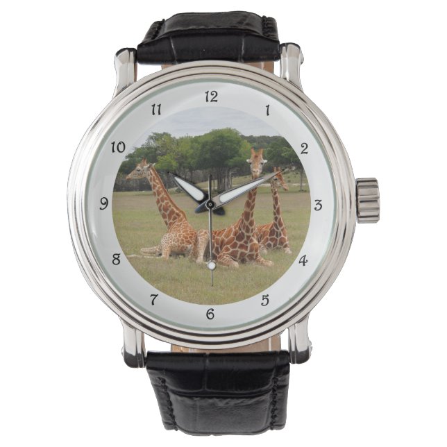 Three Giraffe at Fossil Rim Watch (Front)