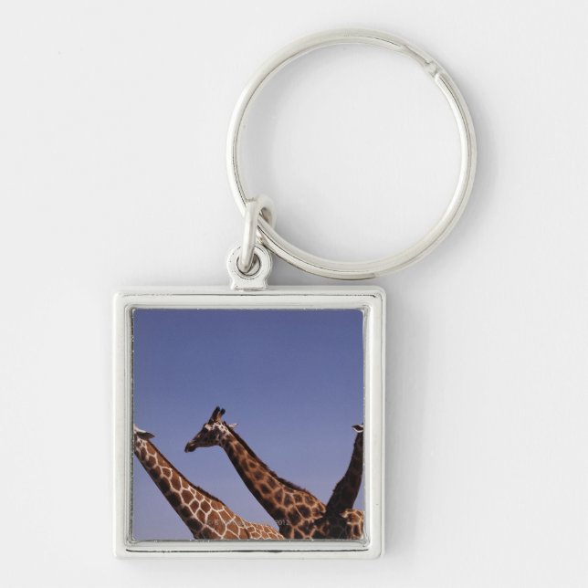 Three giraffes keychain (Front)