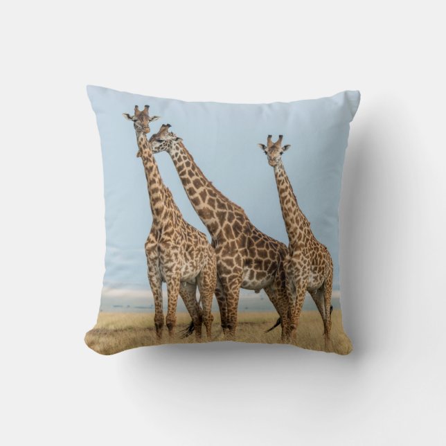 Three Giraffes Posing Throw Pillow (Front)