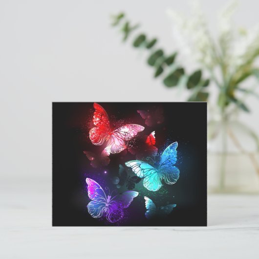 Three Glowing Butterflies on night background (Standing Front)