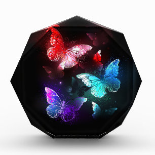 Three Glowing Butterflies on night background Acrylic Award