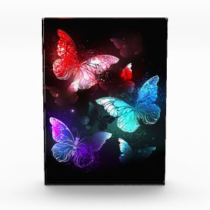 Three Glowing Butterflies on night background Acrylic Award