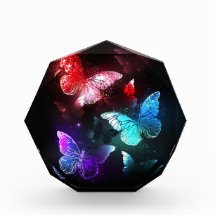 Three Glowing Butterflies on night background Acrylic Award