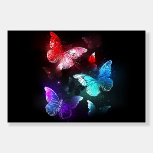 Three Glowing Butterflies on night background Foam Board