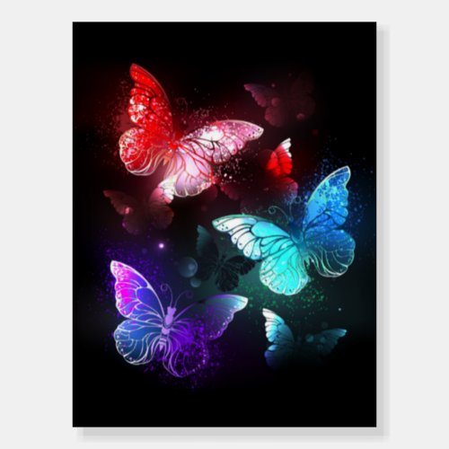 Three Glowing Butterflies on night background Foam Board