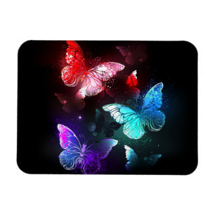 Three Glowing Butterflies on night background Magnet