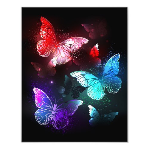 Three Glowing Butterflies on night background Photo Print