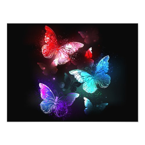 Three Glowing Butterflies on night background Photo Print