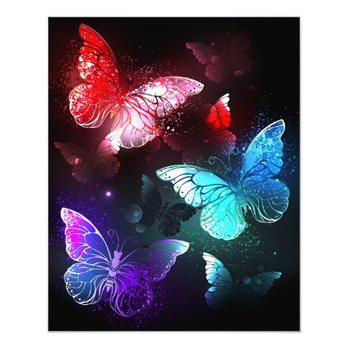 Three Glowing Butterflies on night background Photo Print