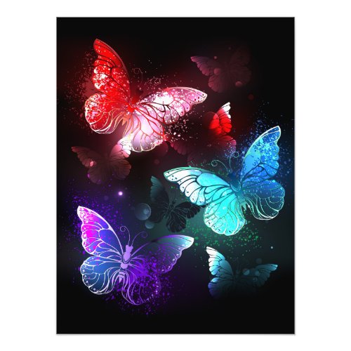 Three Glowing Butterflies on night background Photo Print