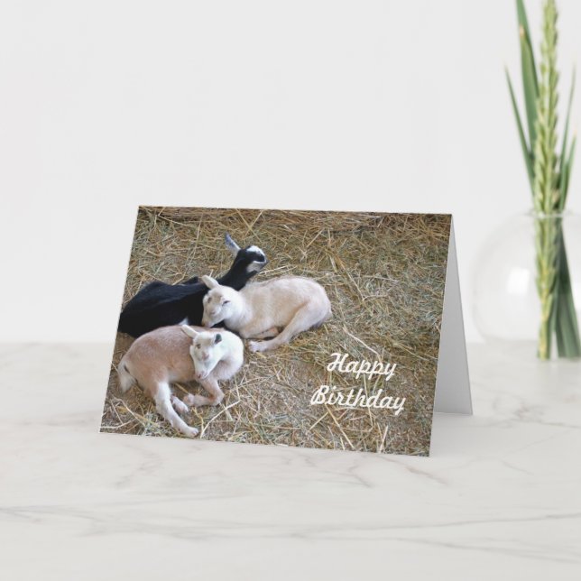 Three Goats 7889 Birthday Cards (Front)