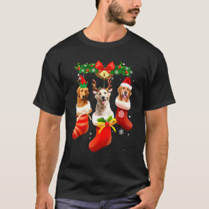 Three Golden Retriever In Sock Christmas Pajama Xm T-Shirt