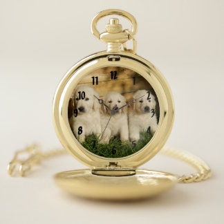 Three Golden Retriever puppies pocket watch