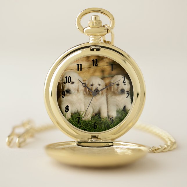 Three Golden Retriever puppies pocket watch (Inside)
