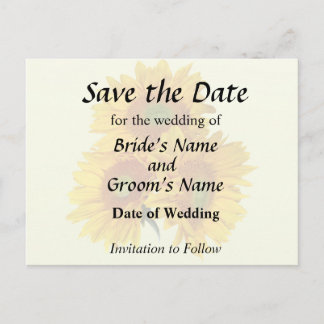 Three Golden Sunflowers Announcement Postcard