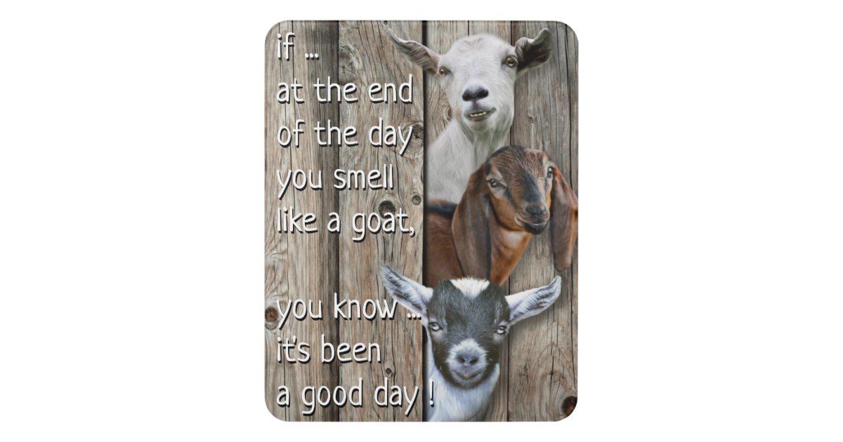 funny goat signs
