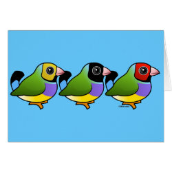 Three Gouldian Finches Greeting Card