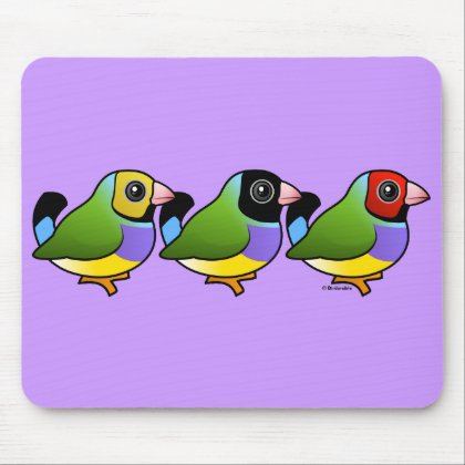 Gouldian Finch Coloring Page