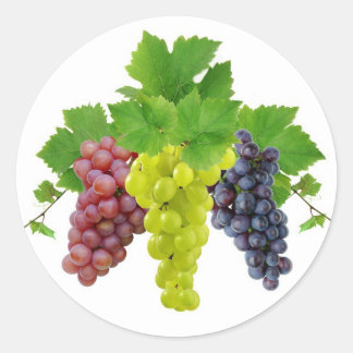 Three grapes classic round sticker