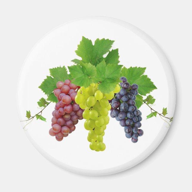 Three grapes magnet (Front)