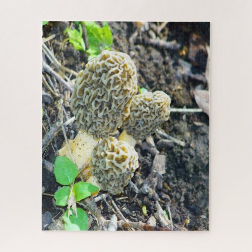 Three Gray Morel Mushrooms Sitting in the Woods Jigsaw Puzzle