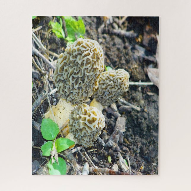 Three Gray Morel Mushrooms Sitting in the Woods Jigsaw Puzzle (Vertical)