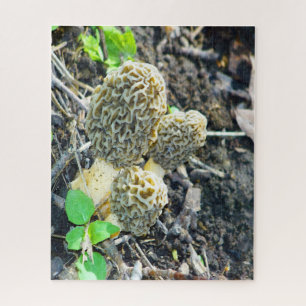 Three Grey Morel Mushrooms Sitting in the Woods Jigsaw Puzzle